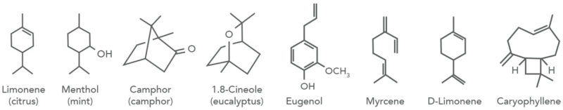 CBD molecule example