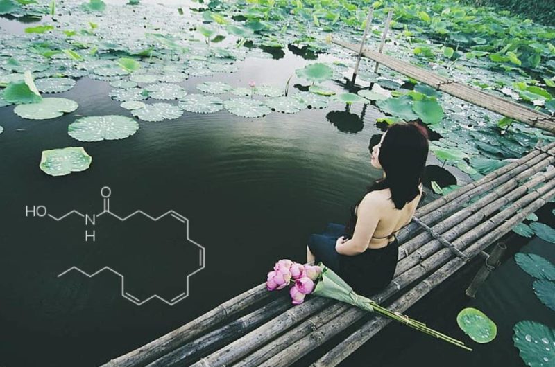 calm woman sitting at lily pond - anandamide chemical